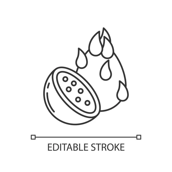Лінійна Ікона Плодів Дракона Пітая Вивчення Продовольчих Спеціальностей Індонезійські Острови — стоковий вектор