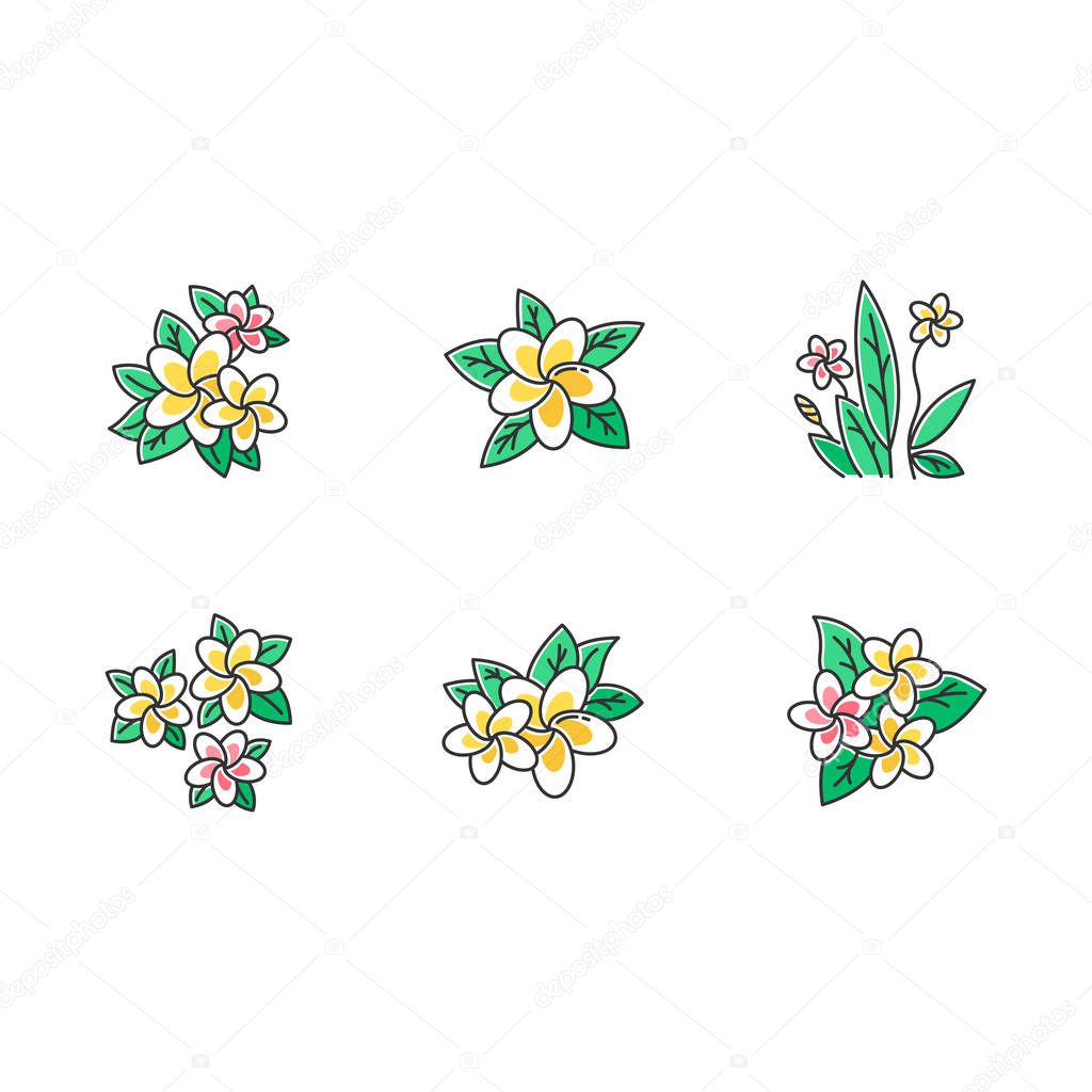 Plumeria color icons set. Exotic region flowers. Flora of Indonesian islands. Small tropical plants. Blossom of frangipani with leaves. Nature of Bali. Isolated vector illustrations