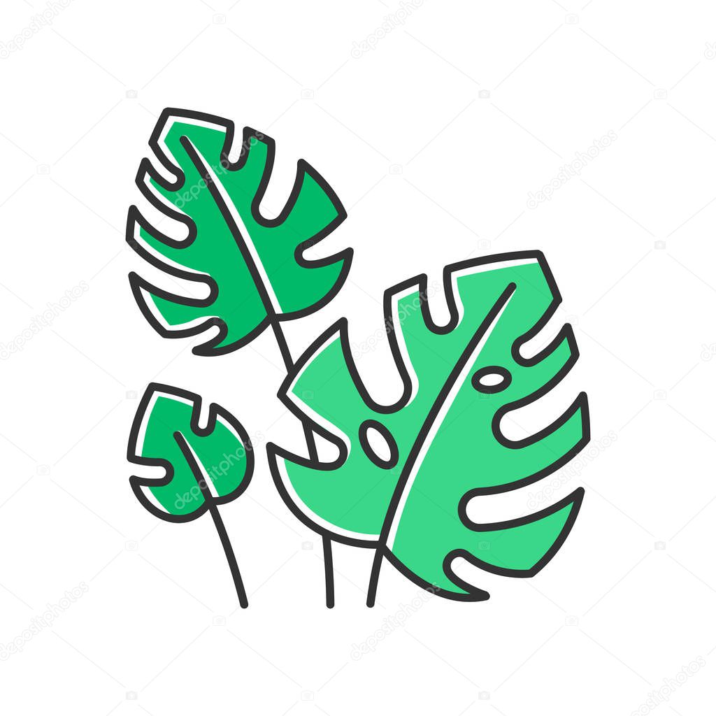 Monstera leaves green color icon. Evergreen tropical forest vines. Swiss cheese plant. Discovering Bali nature. Indonesian exotic plants. Exploring jungles flora. Isolated vector illustration