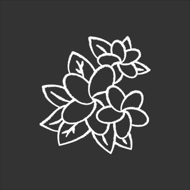 Plumeria tebeşir ikonu. Egzotik bölge çiçekleri. Endonezyalı Flora 