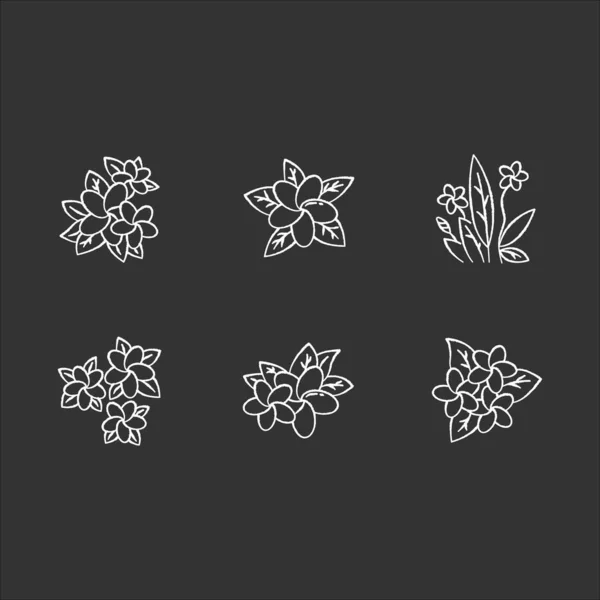 Conjunto de ícones de giz Plumeria. Flores exóticas da região. Flora de Infeito —  Vetores de Stock