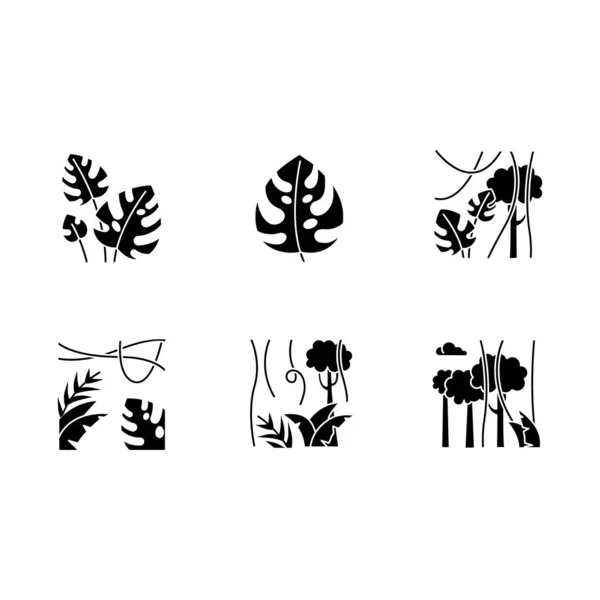 Regenwoud planten glyph pictogrammen ingesteld. Evergreen boswijngaarden. Zwitserland — Stockvector