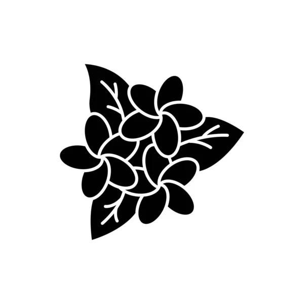 Ícone de glifo de inflorescência de plumeria. Flores exóticas da região. Flora. —  Vetores de Stock