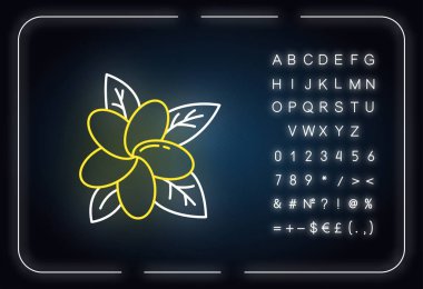 Plumeria neon ışık ikonu. Egzotik bölge çiçekleri. Endonezya adalarından Flora. Küçük tropikal bitkiler. Frangipani çiçeği. Alfabeyle, sayılarla, sembollerle parlayan bir işaret. Vektör izole illüstrasyonu