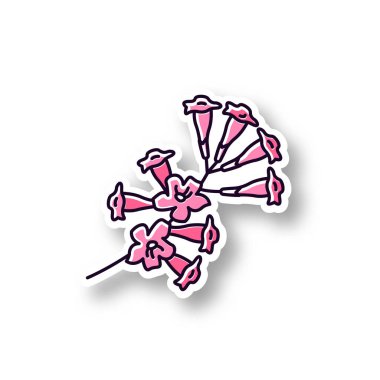 Plumeria yaması. Rgb renkli yazdırılabilir etiket. Ipe ağacı çiçeği. Tr