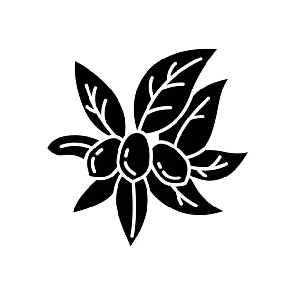 Jojoba black glyph icon. Miracle fruit. Brazilian fruit with lea — Stock Vector