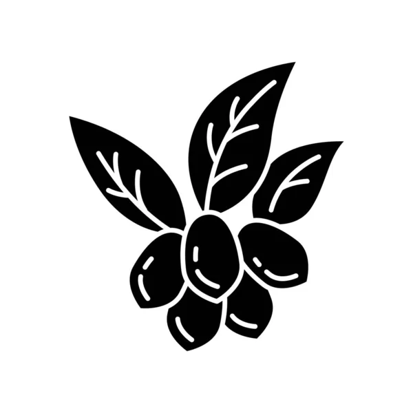 Jojoba black glyph icon. Fruits with leaves. Botany. Brazilian e — 스톡 벡터