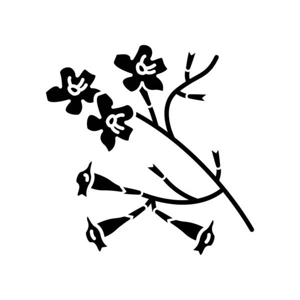 Plumeria schwarze Glyphen-Ikone. Der Laubbaum. tropische Blüte. brasilianisch — Stockvektor