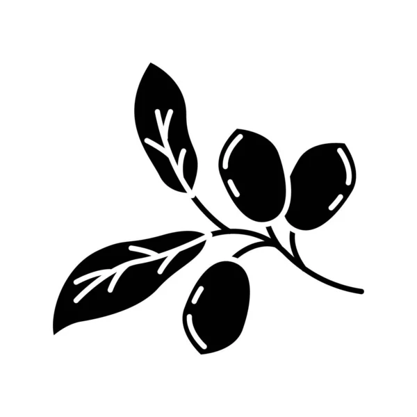 Jojoba schwarze Glyphen-Ikone. exotische Früchte. Botanik. Wunderfrucht. b — Stockvektor