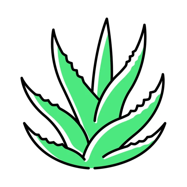 Suculento icono de color verde. Brotes de aloe vera. Hojas de cactus. Gro. — Vector de stock
