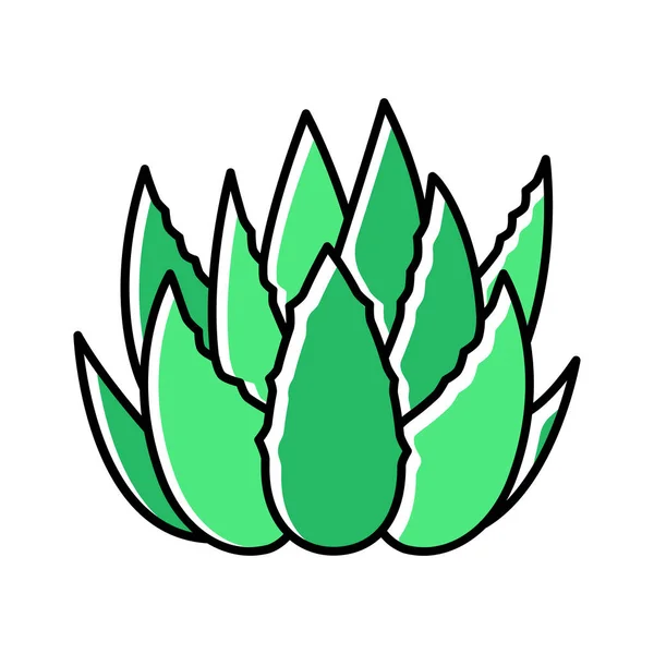 Kaktus gror grön färg ikon. Aloe vera lämnar. Växande läkare — Stock vektor