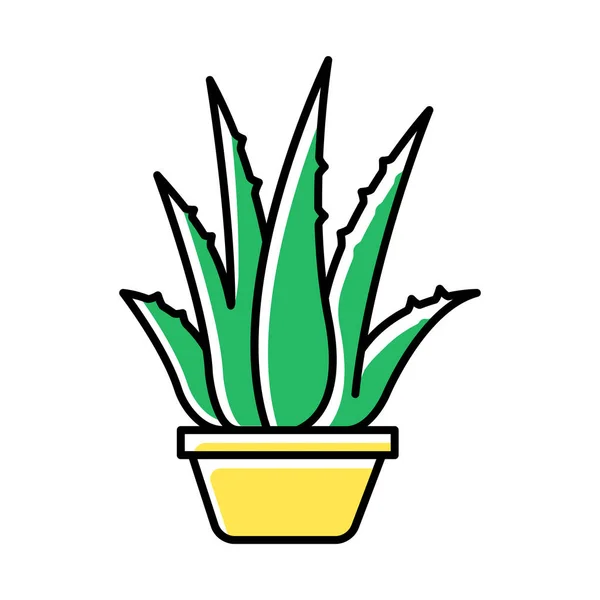 Houseplant ícone de cor verde. Aloe vera em vaso. Brotos de cacto e — Vetor de Stock