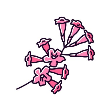 Plumeria Rgb renk simgesi. Ipe ağacı çiçeği. Tropik çiçek. Pembe.