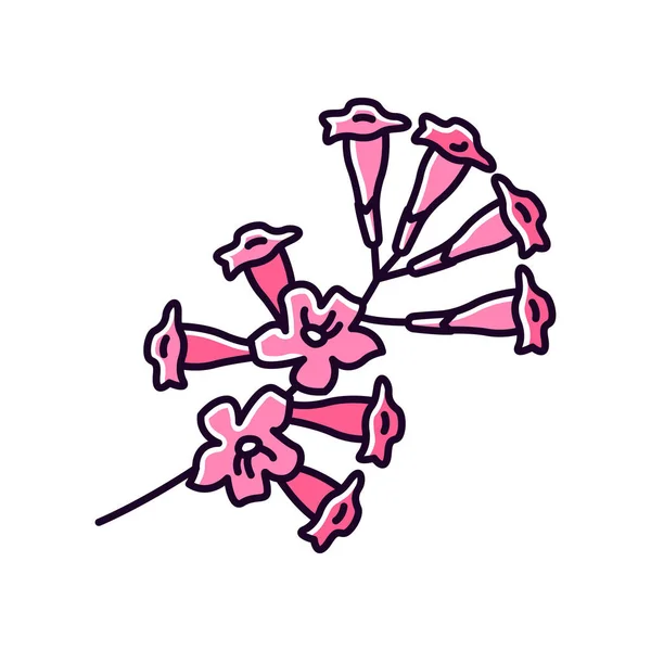 Plumeria Rgb renk simgesi. Ipe ağacı çiçeği. Tropik çiçek. Pembe. — Stok Vektör