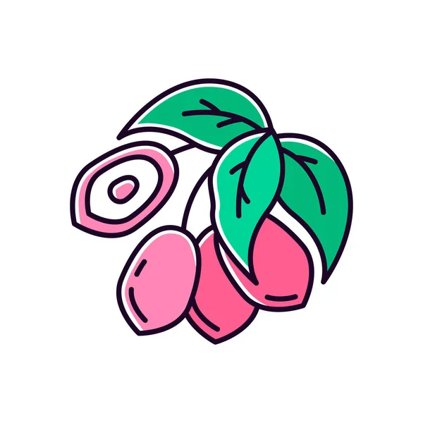 Jojoba zielony Rgb kolor ikona. Tropikalne owoce. Cudowny owoc. Bot — Wektor stockowy