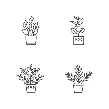 Indoor plants pixel perfect linear icons set. Houseplants. Peace