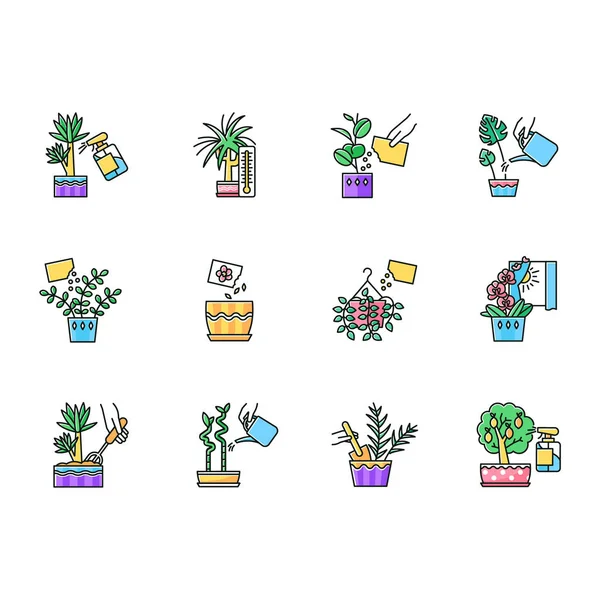 Houseplant caring RGB color icons set. Plant transplant. Seed pl — ストックベクタ