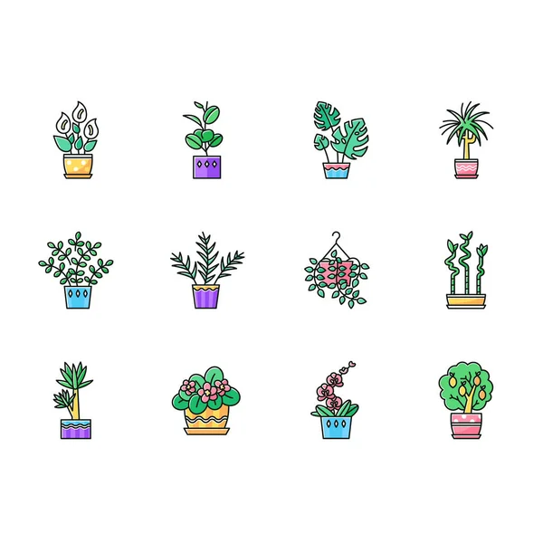 Houseplants RGB color icons set. Decorative indoor plants. Natur — Wektor stockowy