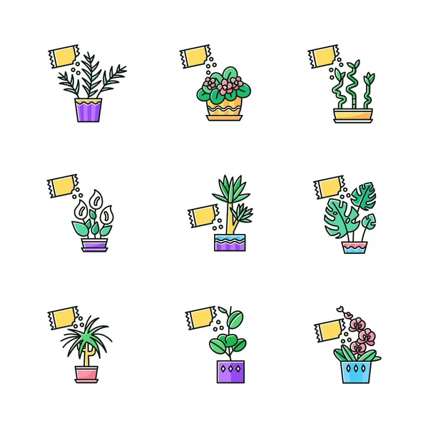 Houseplant fertilizing RGB color icons set. Feeding domesticated — ストックベクタ