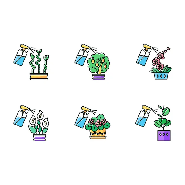 Spraying domesticated plants RGB color icons set. Houseplant car — Wektor stockowy