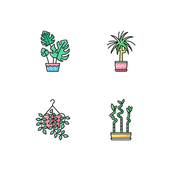 Plantas domesticadas Conjunto de iconos de color RGB. Plantas domésticas. Ornamental — Vector de stock