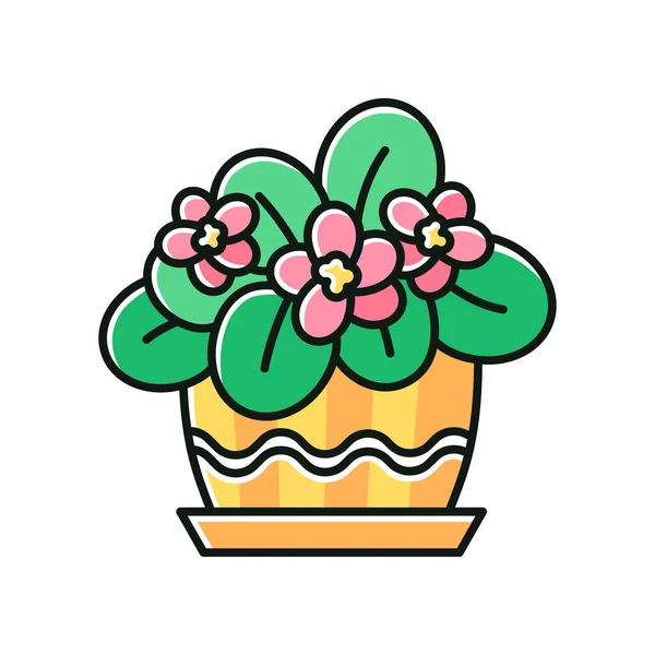 African violet RGB color icon. Blooming Saintpaulia. Indoor plan — Stock vektor