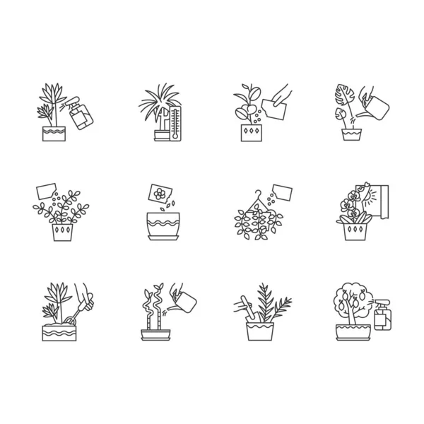 Houseplant caring pixel perfect linear icons set. Plant transpla — Stock Vector