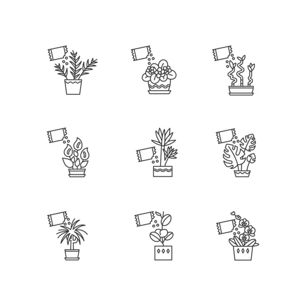 Plante d'intérieur fertilisation pixel parfait icônes linéaires ensemble. Alimentation d — Image vectorielle