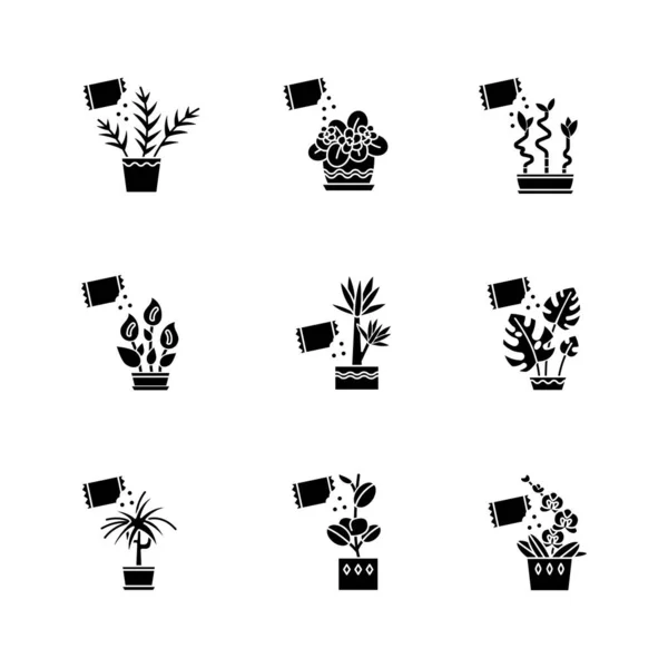 Houseplant fertilizing black glyph icons set on white space. Taxa —  Vetores de Stock