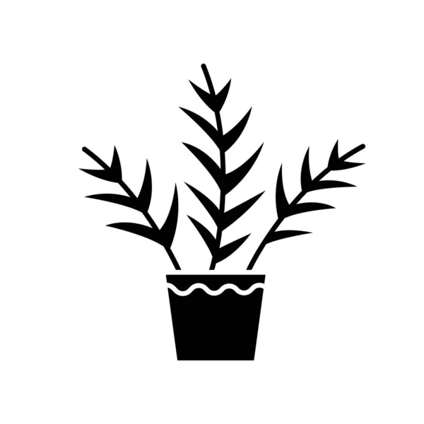 Salón de palma icono glifo negro. Chamaedorea elegans. Neanthe bella — Archivo Imágenes Vectoriales