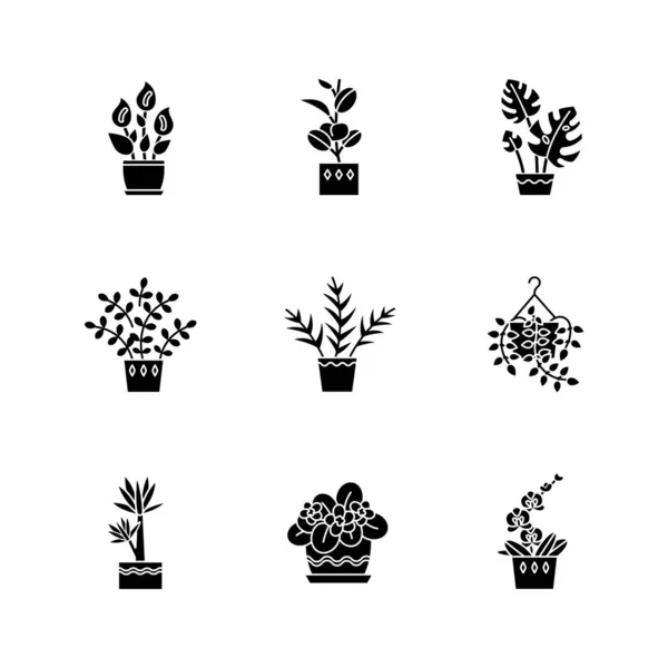 Εξελιγμένα φυτά μαύρα ανάγλυφα εικονίδια τοποθετημένα σε λευκό χώρο. Νοικοκυριά — Διανυσματικό Αρχείο
