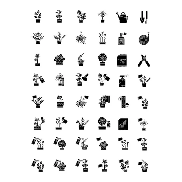 Houseplant caring black glyph icons set on white space. Indoor g — 스톡 벡터