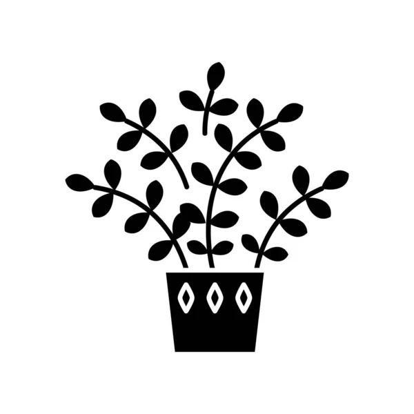 Zz plant black glyph icon. Zamioculcas. Zanzibar Gem. Indoor tro — Stock Vector