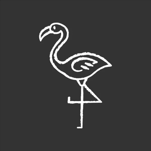 Flamingo chalk white icon on black background. Exotic wild bird. — 스톡 벡터