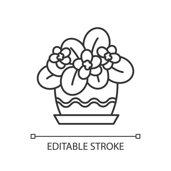 Saintpauliasストックベクター ロイヤリティフリーsaintpauliasイラスト ページ 2 Depositphotos