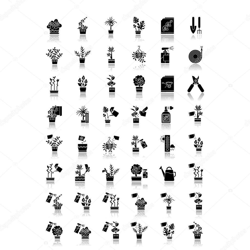 Houseplant caring drop shadow black glyph icons set. Indoor gardening tools. Domesticated plant growing. Watering, fertilizing. Seed planting, spraying. Isolated vector illustrations on white space