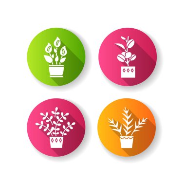 Kapalı alandaki bitkiler düz dizayn uzun gölge sembolleri dizayn edildi. Ev bitkileri. Evcilleştirilmiş bitkiler. Doğal ev, ofis dekorasyonu. Barış zambağı, ZZ bitkisi. Avuç içi, incir ağacı. Siluet Rgb renk çizimi