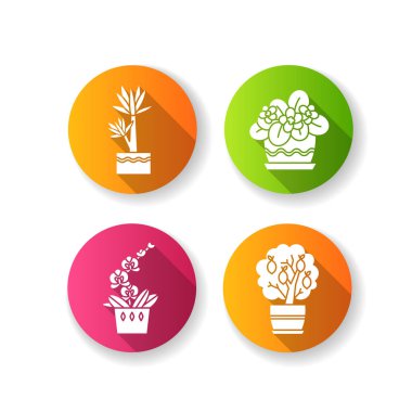 Dekoratif bitkiler düz dizayn uzun gölge sembolleri dizayn edildi. Ev bitkileri. Evcilleştirilmiş bitkiler. Orkide, yukka. Minyatür narenciye ağacı, Afrika menekşesi. Siluet Rgb renk çizimi