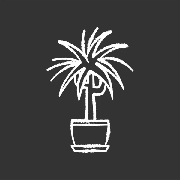 Icône Blanche Craie Dracaena Sur Fond Noir Plante Ornementale Pot — Image vectorielle