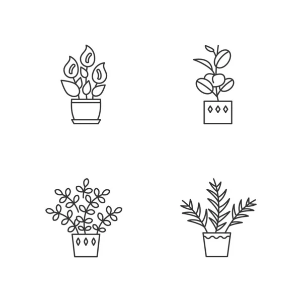 Indoor Plants Pixel Perfect Linear Icons Set Houseplants Peace Lily — Stock Vector