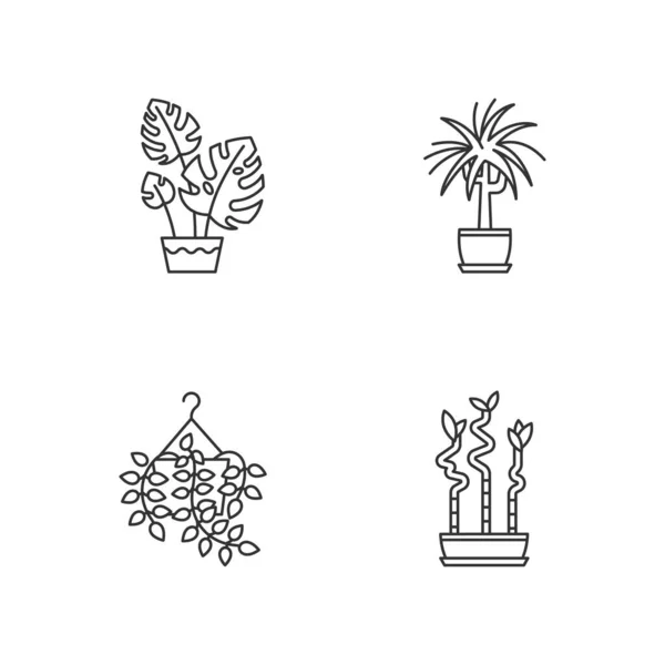 Domesticated Plants Pixel Perfect Linear Icons Set Houseplants Pothos Dracaena — Stockvector