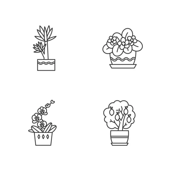 Decorative Indoor Plants Pixel Perfect Linear Icons Set Houseplants Orchid — Stock Vector
