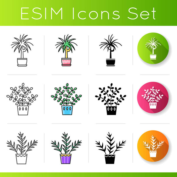 Domesticated plants icons set. Houseplants. Ornamental plants. Dracaena. Parlor palm, zz plant. Linear, black and RGB color styles. Linear black and RGB color styles. Isolated vector illustrationss