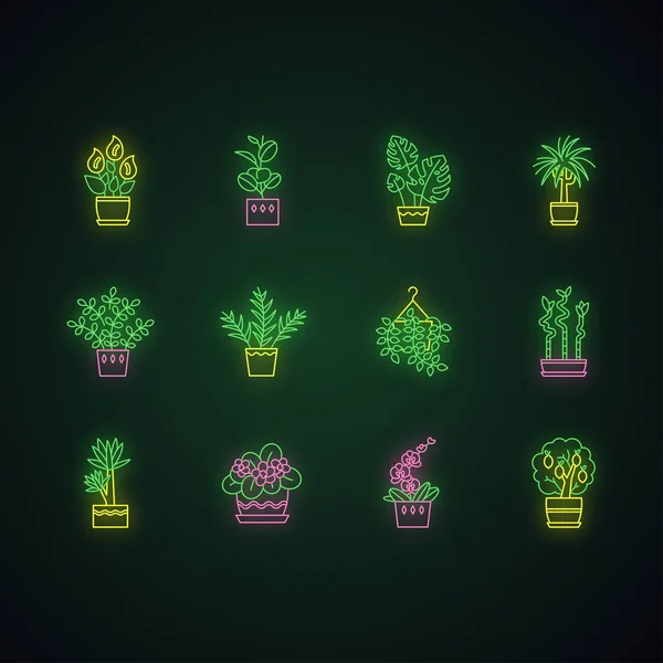 家庭植物霓虹灯图标设置 室内植物 紫罗兰 和平百合 波瑟斯 客厅棕榈 具有外在发光效果的符号 矢量隔离Rgb彩色插图 — 图库矢量图片