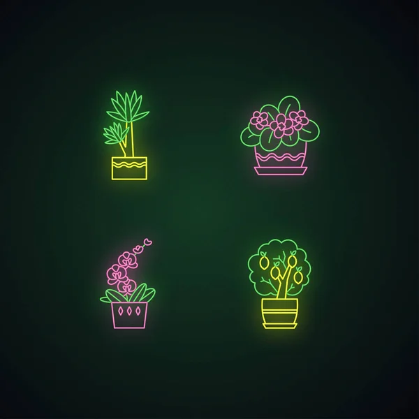 Διακοσμητικά Φυτά Εσωτερικού Χώρου Νέον Φως Εικονίδια Σετ Νοικοκυριά Οικόσιτα — Διανυσματικό Αρχείο