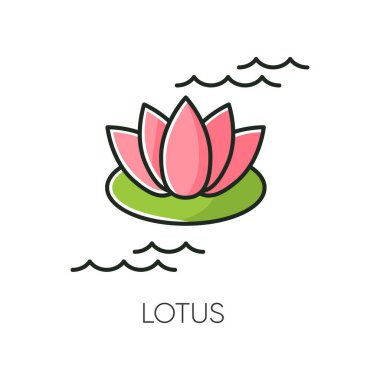 Lotus RGB renk simgesi. Çiçek açan zambak çiçeği. Yoga işareti. Meditasyon ve zen. Uyum, saflık. Masaj tedavisi. Çiçek yaprakları. Sivilceleri iyileştirmek için kozmetik malzeme. İzole vektör illüstrasyonu