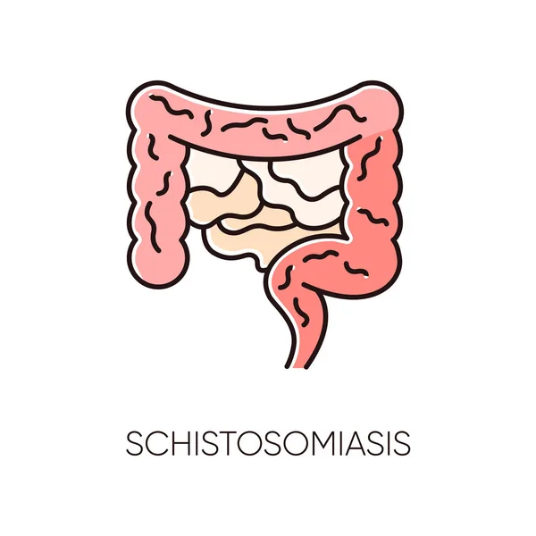 Icono Color Schistosomiasis Rgb Enfermedad Gastroenterológica Viral Enfermedad Infecciosa Endémica — Vector de stock