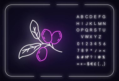 Jojoba neon ışık ikonu. Egzotik meyveler. Botanik. Mucize meyve. Brezilya bitkisi. Kozmetik petrol üretimi. Dış ışıltı etkisi. Alfabeyle, sembollerle imzala. Vektör izole edilmiş RGB renk çizimi