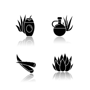Aloe vera siyah simge simgeleri ayarlandı. Botanik lahanaları. Şifalı bitki. Kaktüs, sulu yaprak. Kozmetik kremi. Doğal losyon. Sağlıklı cilt bakımı. Beyaz uzayda izole vektör çizimleri