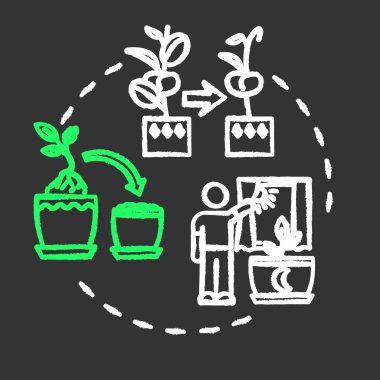 Bitkilerin yerini değiştirmeyin. Tebeşir RGB renk konsepti simgesi. Ev bitkileri umursuyor. Çiçekçilik tüyoları. Çiçeklerin iklimlendirme fikri. Siyah arkaplanda izole edilmiş karatahta çizimi